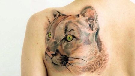 Sve o puma tetovaži