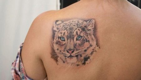Sve o tetovaži snježnog leoparda