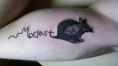 Lahat tungkol sa tattoo ng mouse