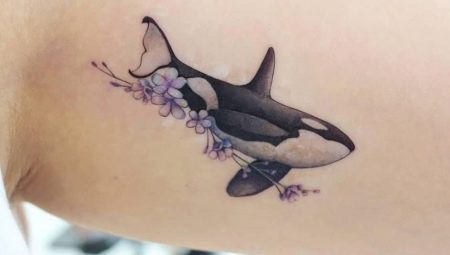 Kahulugan at sketches ng isang killer whale tattoo