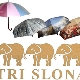 Regenschirme Drei Elefanten