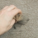 Wirksame Mittel und Methoden zum Entfernen von Flecken vom Griff aus Kunstleder