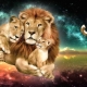 Garçon Lion : conseils sur le caractère et la parentalité