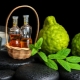 Ulje bergamota: svojstva i savjeti za uporabu