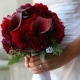Bó hoa màu đỏ tía cho cô dâu: tính năng lựa chọn hoa và ý tưởng thiết kế cho bố cục