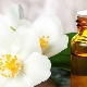 Eterično ulje jasmina - svojstva i savjeti za uporabu