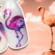 Hoe krijg je een stijlvolle flamingo-manicure?