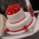 Prăjituri de nuntă în diferite stiluri: cele mai bune idei și exemple interesante
