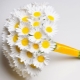 Sejambak pengantin bunga aster: idea lukisan dan kehalusan reka bentuk