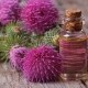 Properties and applications of burdock oil