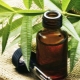 Właściwości i zalecenia dotyczące stosowania olejku z drzewa herbacianego na grzybicę paznokci