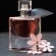 Hogyan készítsünk otthon parfümöt illóolajokból?
