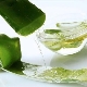 Aloe vera oil: properties and uses