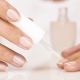 Features of colorless manicure