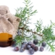 Vlastnosti jalovcového oleje a jeho využití v kosmetologii