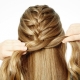 French braid: history, schemes and design options