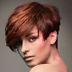 Short haircuts with bangs: fashion trends and styling tips