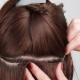 Features and technique of hair extension on a pigtail