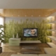 Feng Shui pentru un apartament sau o casă: reguli de planificare și design interior