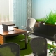 What should be a feng shui workplace?