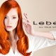 Barva na vlasy Lebel: typy a paleta