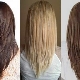 Potongan rambut ekor rubah: ciri, kebaikan dan keburukan, cadangan untuk pemilihan