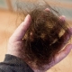 Rambut gugur dalam tandan: punca dan penyelesaian kepada masalah