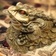 Feng Shui para kurbağası