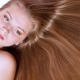 Perisai rambut: ciri, jenis dan teknologi