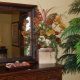 How to position a mirror in feng shui?