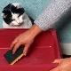 Kā vislabāk izmazgāt kaķu smilšu kasti, lai tajā nebūtu smakas?