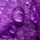 Ce înseamnă violet în psihologie?