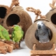 Papağanlar için ev ve yuva: seçim özellikleri, gereksinimler, üretim kuralları