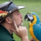 Talking Parrots: Deskripsyon ng Species at Mga Tip sa Pagsasanay