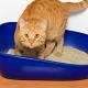 Ako si vybrať hrudkujúce stelivo pre stelivo pre mačky?