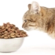 Food for neutered cats and neutered cats