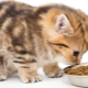 อาหารแมวซุปเปอร์พรีเมียม: คำอธิบาย ยี่ห้อ เคล็ดลับในการเลือก