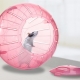 Hamster ball: requirements and features of choice