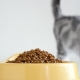 Comparison of dry cat food