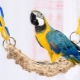 Tipi e selezione di giocattoli per pappagalli
