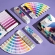 Everything you need to know about Pantone