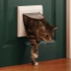 การเลือกประตูห้องน้ำแมว