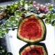 Watermeloen toermalijn: beschrijving van de steen, zijn eigenschappen en gebruik