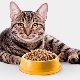 Τροφή για γάτες χωρίς δημητριακά