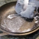 What to do if a cast iron pan burns on?