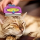 Furminátory pro kočky: popis, druhy, výběr a použití