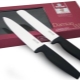Charakteristika a tipy pro výběr nožů Rondell