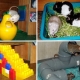 Spielzeug für Ratten: Typen, Tipps zum Auswählen und Erstellen