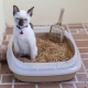 ¿Cómo elegir y utilizar una caja de arena para gatos?