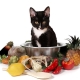 Bagaimana Memilih Makanan Kucing Vegetarian dan Vegan?